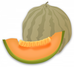 Musk Melon Clip Art at Clker.com - vector clip art online, royalty ...