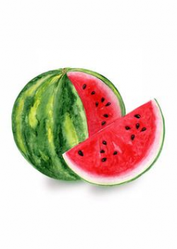 267 Best WATERMELON images in 2019 | Illustrations, House ...