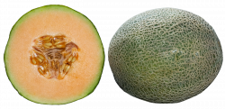 Whole and Half Cantaloupe Slices PNG Image - PurePNG | Free ...