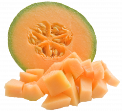 28+ Collection of Melon Clipart Png | High quality, free cliparts ...