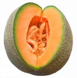 Melon PNG Images - PngPix