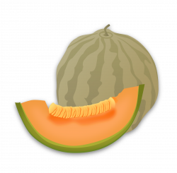 Clipart - Musk Melon