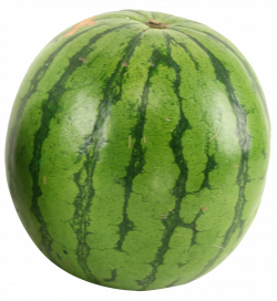 Watermelon PNG Transparent Free Images | PNG Only