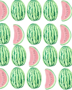 transparent watermelon | Tumblr