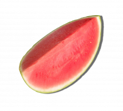 Watermelon | Free Images at Clker.com - vector clip art online ...