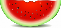 Watermelon free vector download (156 Free vector) for ...