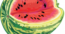 The Multicolored Diary: W is for Watermelon Divination (WTF Hungary ...