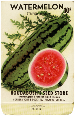 Pictures of Old Seed Packets | FREE Vintage Image ...
