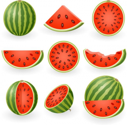 Watermelon slices clip art - This is a FREE vector graphic ...