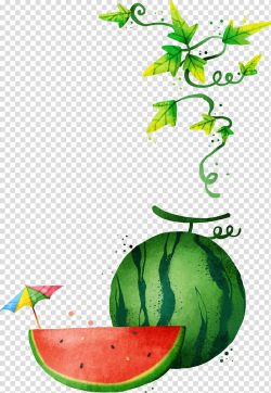 Watermelon , Watercolor painted watermelon melon vine ...