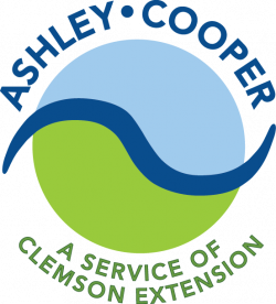 Ashley Cooper Stormwater Education Consortium | South Carolina ...