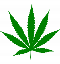 File:Cannabis leaf.svg - Wikimedia Commons - ClipArt Best - ClipArt ...
