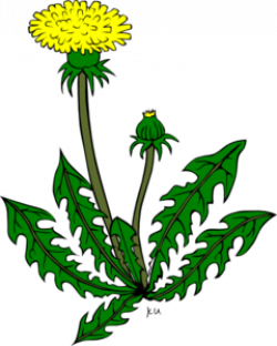 Free Weeds Cliparts, Download Free Clip Art, Free Clip Art on ...