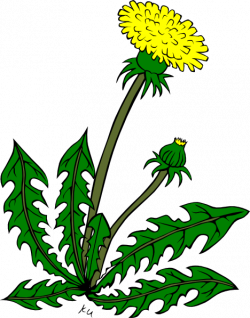 Free Weeds Cliparts, Download Free Clip Art, Free Clip Art on ...