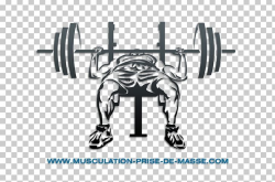 Bench Press Barbell CrossFit PNG, Clipart, Angle, Auto Part ...