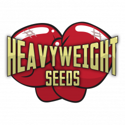 Heavyweight Seeds (@HeavyweightSeed) | Twitter