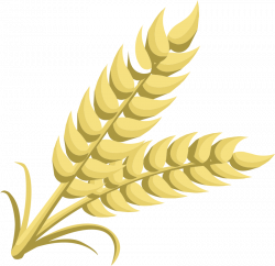 Wheat Dividers Free Clipart