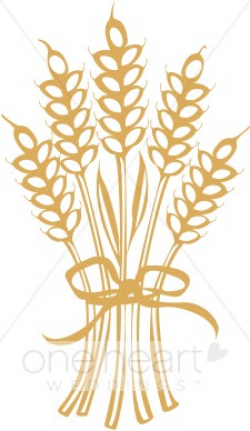 Wheat Clip Art | Fall Wedding Clipart