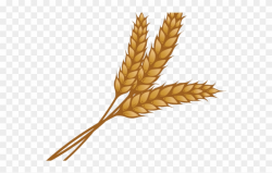 Wheat Clipart Single Piece - Wheat Clipart - Png Download ...