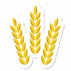 Wheat Clipart Agriculture Transparent Clip Arts And Pictures ...