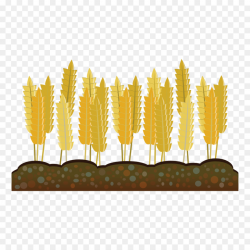 Wheat Cartoon clipart - Agriculture, Wheat, Farmer ...