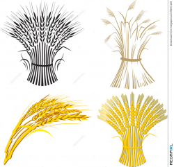 Four Wheat Sheaf Illustration 9921439 - Megapixl