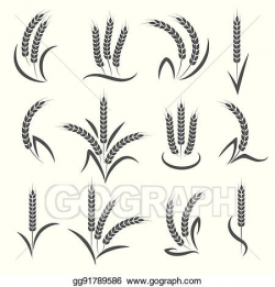Vector Illustration - Wheat or barley ears branch. EPS ...