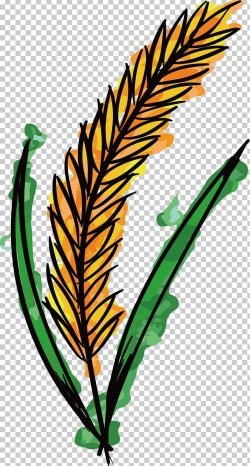 Watercolor Painting Wheat PNG, Clipart, Artwork, Branch ...
