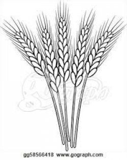 wheat drawing - Google Search | Deuteronomy 8:7-9 | Wheat ...
