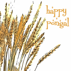 Happy Family Cartoon clipart - Pongal, Wheat, Happy ...