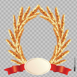 Wheat Clipart Millet Plant Frame With Red Ribbon PNG Image ...