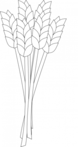 Wheat Black And White Clip Art at Clker.com - vector clip ...