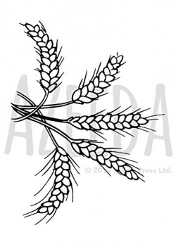 Amazon.com: Azeeda A7 'Sprigs of Wheat' Unmounted Rubber ...