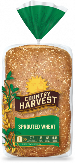 Sprouted Wheat | Country Harvest