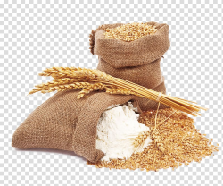 Wheat flour Wheat flour Bread, wheat, brown wheat beside ...
