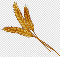 Wheat Cartoon clipart - Plant, Wheat, Leaf, transparent clip art