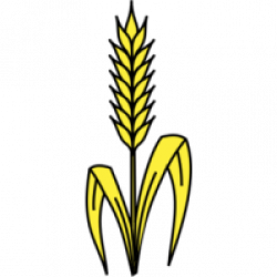 33+ Wheat Clipart | ClipartLook
