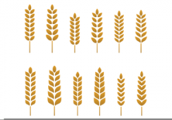 Free Wheat Stalk Clipart | Free Images at Clker.com - vector ...