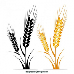 Free Clipart Of Wheat Stalks | Free Images at Clker.com ...