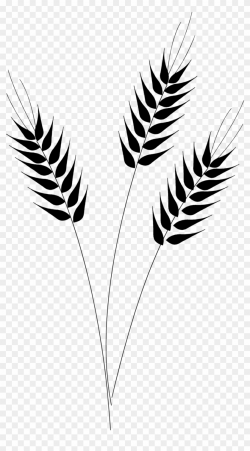 Wheat Clipart wheat leaf 2 - 840 X 1516 Free Clip Art stock ...