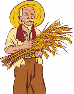 Farmer Agriculture Clip art - wheat straw 650*827 transprent Png ...