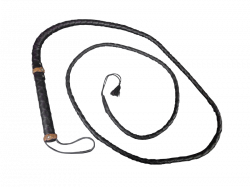 Whip PNG images free download