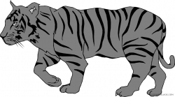 Bengal Tiger Animal free black white clipart images clipartblack ...