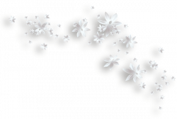 White Flowers Decorative PNG Clipart | Pozadia a orámovania ...