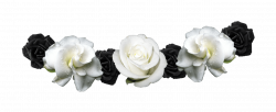 White and Black Flower Crown Transparent PNG Image #407 - PNG Mix