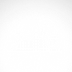 Simple color vinyl Wild Cat Lion | Stickers Factory