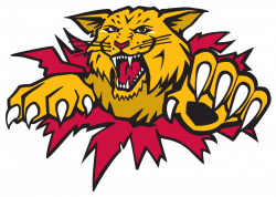 Moncton Wildcats - Wikipedia