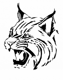 Tiger Wildcat Cat Head Face Png Image - Elgin High School ...