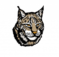 Lynx PNG Transparent Images Group (57+)