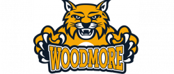WEASL - Woodville/Elmore Adult Softball League